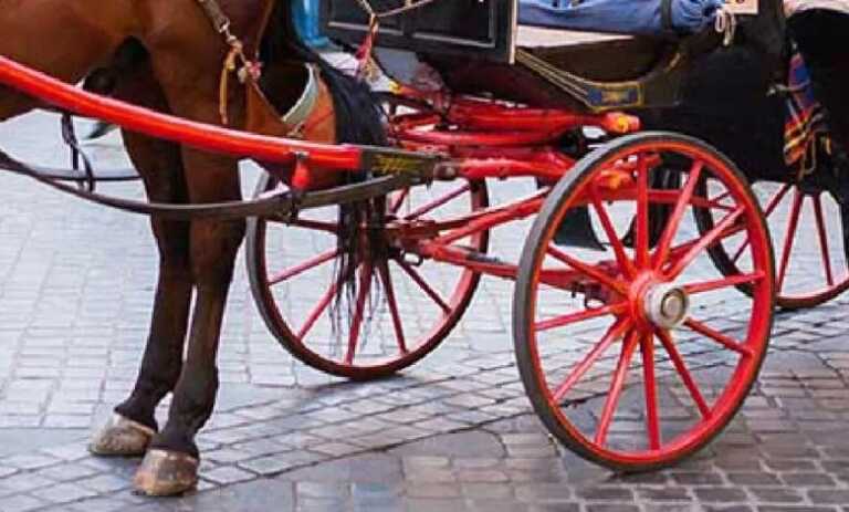 A Matera stop a carrozze con cavalli dalle 11 alle 18: «A rischio la salute degli animali»