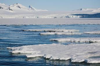 Galleria foto 'Clima, ghiaccio marino antartico al valore più basso di sempre' - foto 1