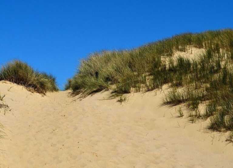 Le dune di Porto Cesareo trasformate in discarica: sequestrata area di 3 km