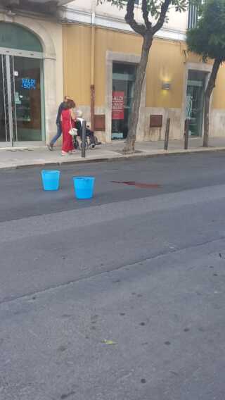 Bitonto, cane travolto e ucciso da una moto