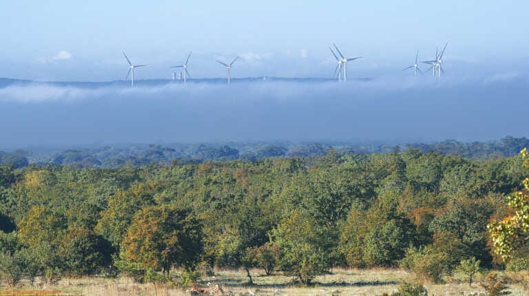 Transizione energetica, Bratta: «La Puglia è un modello, ma ora serve fare ricavi»