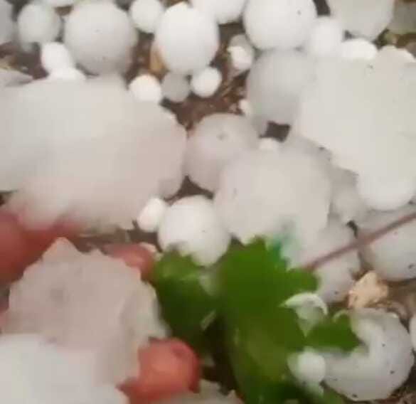 Violenta grandinata nel sud-est barese: «Danneggiati tendoni nei vigneti»