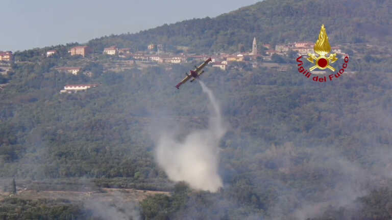 Galleria foto 'In fiamme bosco vicino Trieste, droni in volo per mappare le aree' - foto 1