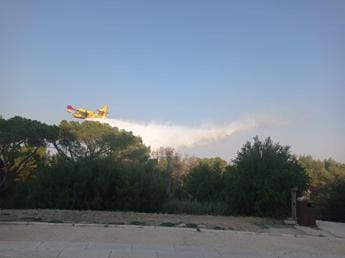 Galleria foto 'Incendi, in fiamme la pineta intorno al Castel del Monte' - foto 1