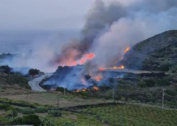 Galleria foto 'Incendio a Pantelleria, fiamme minacciano case: decine gli evacuati' - foto 1