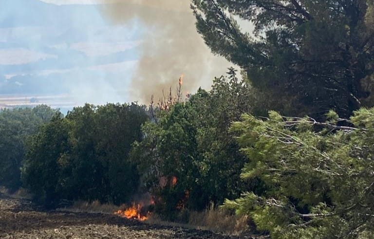 Fiamme ad Alberona: in azione un fire boss partito da Grottaglie – VIDEO