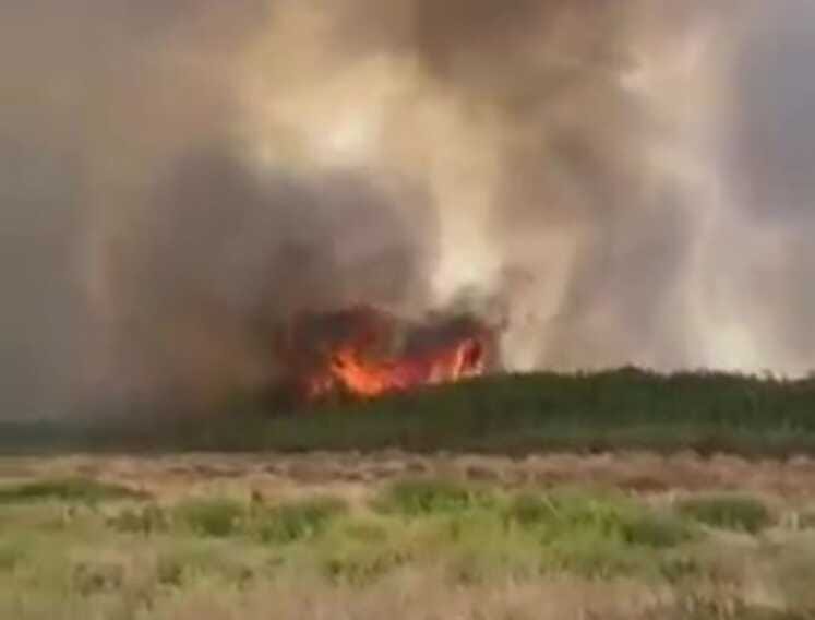 Nuovo focolaio nell’ex mattatoio di Barletta. Fiamme anche sulla costa
