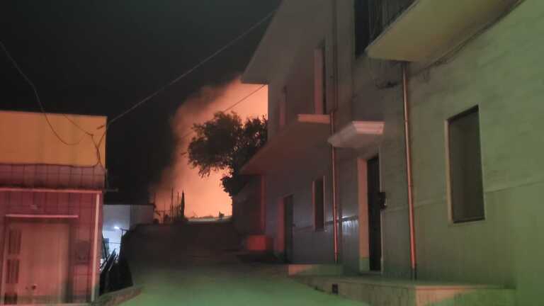 Carpino, fiamme a pochi passi dal centro abitato: distrutti 20 ettari
