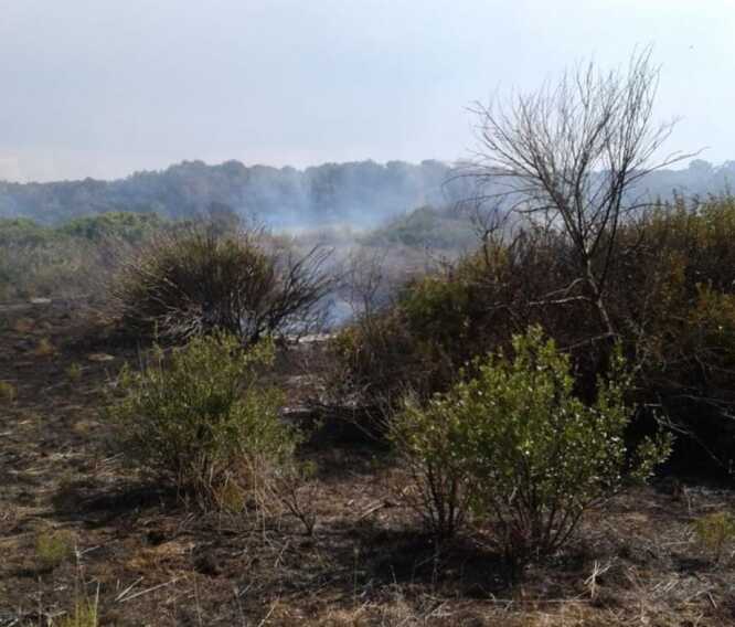 Ancora un incendio nel Foggiano: bruciati 10 ettari tra Chieuti e Serracapriola – VIDEO