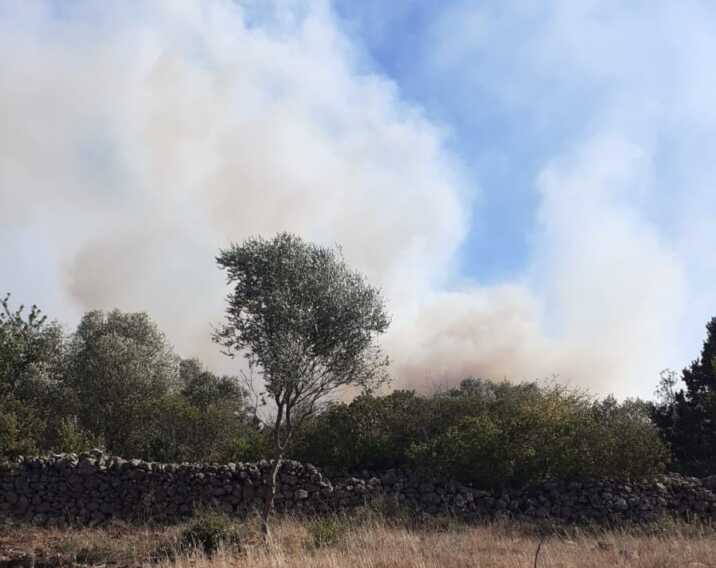 Galleria foto 'Incendio a Ginosa: brucia la pineta di San Pellegrino' - foto 1