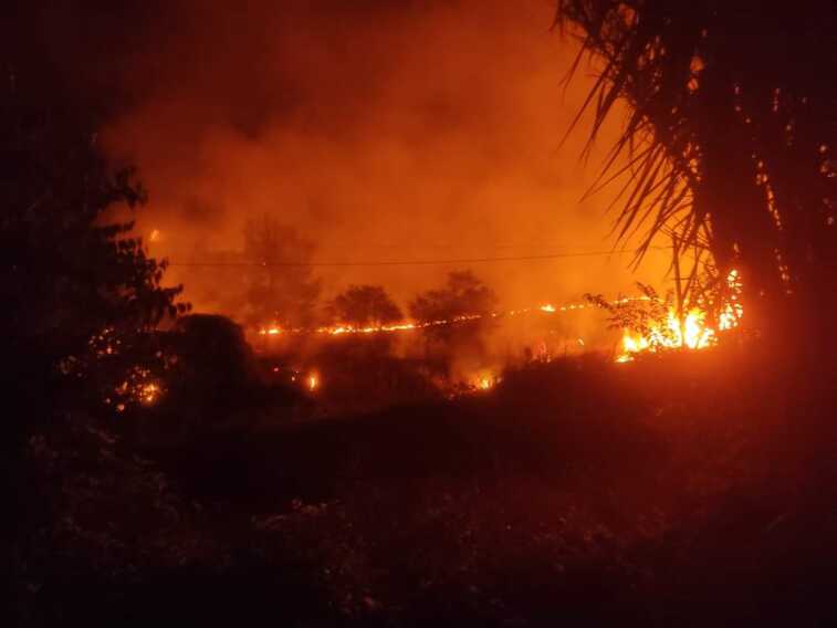Galleria foto 'Vasto incendio a San Paolo Civitate: quasi certa l’origine dolosa' - foto 1