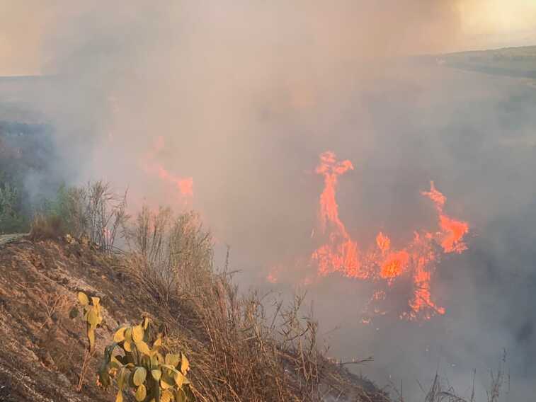 Incendio sul Gargano nel luglio 2021: nessun indennizzo per le aziende