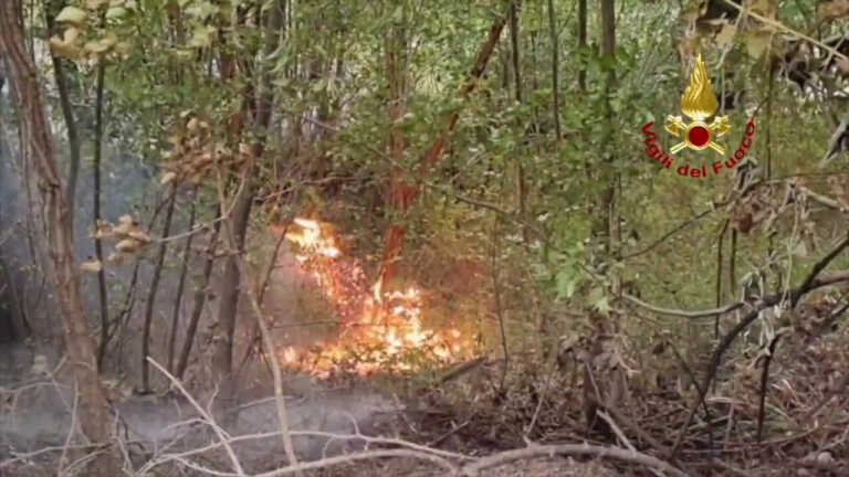 Galleria foto 'Incendio sul Monte Arsiccio, vigili del fuoco all’opera' - foto 1