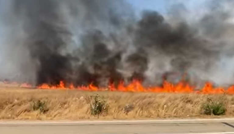 Lecce, operatore piromane. La Protezione civile: «Noi i primi ad essere offesi»