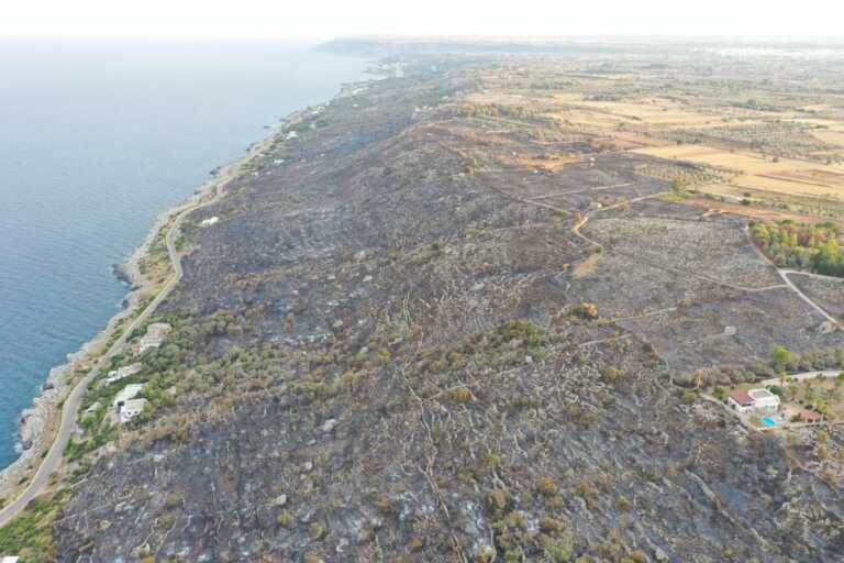 Galleria foto 'Otranto, dopo l’incendio lo scenario è apocalittico: in fumo 120 ettari – FOTO' - foto 3