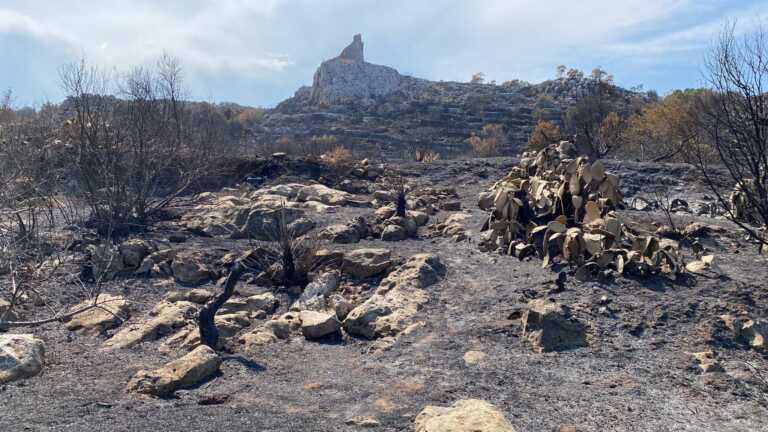 Incendi in Puglia, bruciati circa 7mila ettari di vegetazione: Foggia la più colpita dell’estate