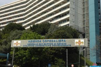Galleria foto 'Influenza, sequenziato a Genova il virus dell”australiana’ H3N2' - foto 1