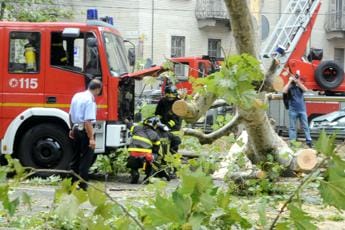 Galleria foto 'Maltempo, albero si abbatte su auto nel torinese: un morto' - foto 1