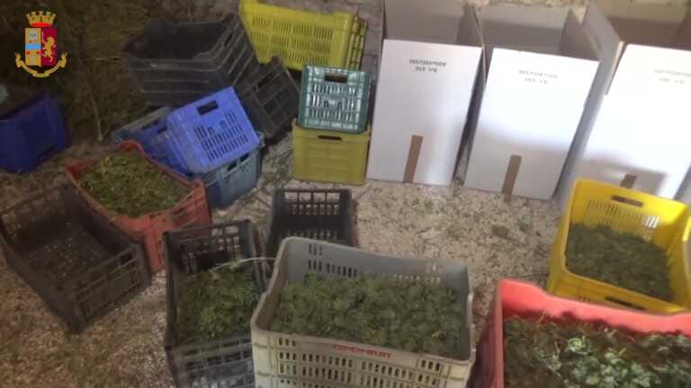 Fuggì a un blitz in un “laboratorio” della droga a Ruvo: 64enne identificato e arrestato dopo un anno