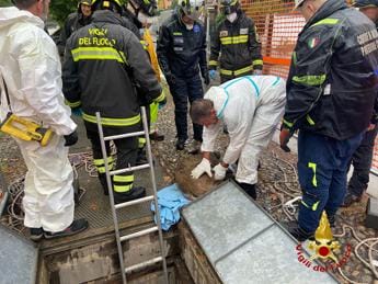 Galleria foto 'Milano, cinghiale in Darsena recuperato e poi morto' - foto 1