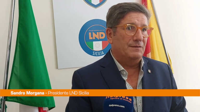 Galleria foto 'Morgana “Tanti stranieri nei campionati, ne risente Nazionale”' - foto 1
