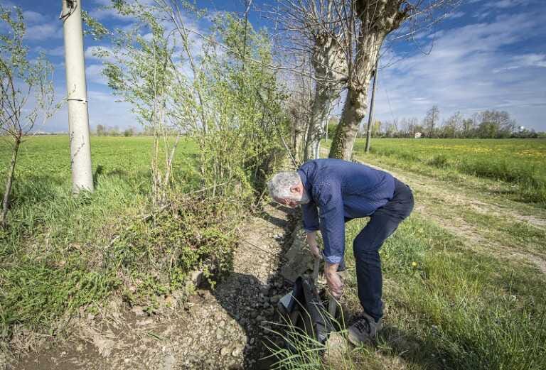 Nel primo trimestre l’export agroalimentare supera 6 mld