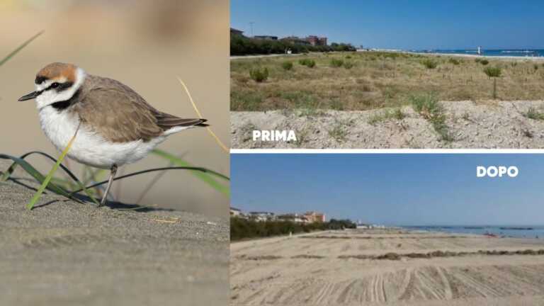 Galleria foto 'No megaeventi in spiaggia, petizione ‘L’ambiente urla: non nel mio nomè' - foto 1