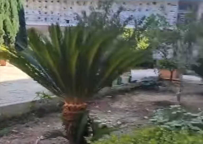 C’è un orto nel cimitero di Molfetta, il Comune: «Individueremo il responsabile»