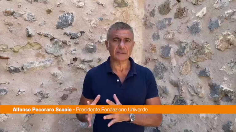 Galleria foto 'Pecoraro Scanio “Pizzerie locali assumano ex dipendenti Domino’s”' - foto 1