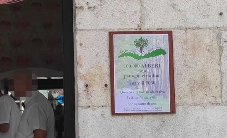 Centomila alberi, uno per ogni cittadino entro il 2030. La petizione a Barletta