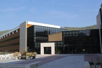 Galleria foto 'Ricerca, farmaci attivati dalla luce per spegnere dolore oncologico' - foto 1