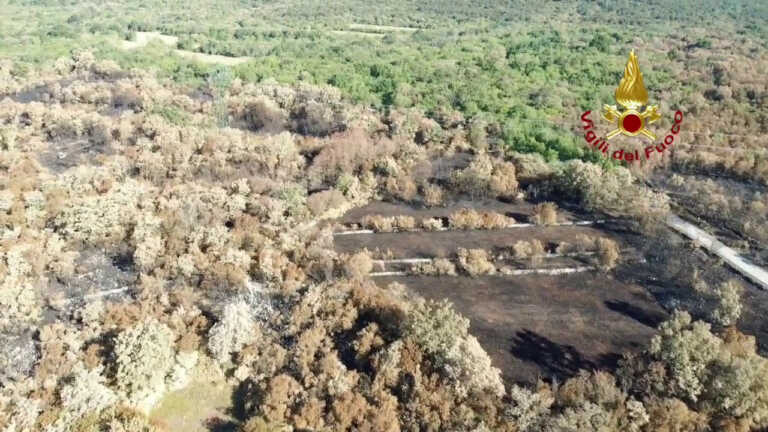 Galleria foto 'Ricognizione con i droni sul Carso goriziano dopo l’incendio' - foto 1