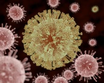 Galleria foto 'Riscaldamento globale e virus, “più gravi oltre metà malattie infettive”' - foto 1