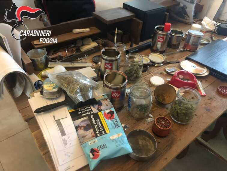 Galleria foto 'Maxi piantagione di marijuana alla periferia di Foggia: arrestato 56enne' - foto 1