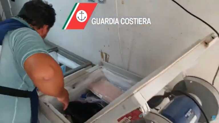 Oltre 100 kg di pesce conservato in un deposito abusivo: sequestro a Bari