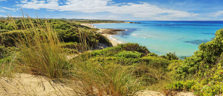 Vanity Fair “trasforma” Torre Guaceto da area naturale a lido naturista