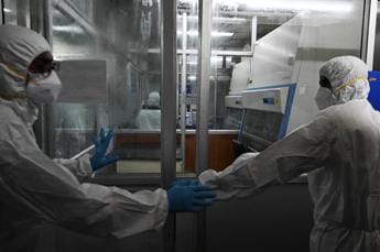 Galleria foto 'Vaiolo delle scimmie, possibili le quarantene: la circolare' - foto 1
