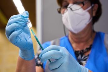 Galleria foto 'Vaiolo scimmie, al via vaccinazioni in Emilia Romagna' - foto 1