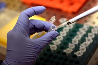 Galleria foto 'Vaiolo scimmie, primi vaccini a 4 regioni. Ecco chi può farlo' - foto 1