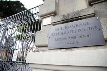 Galleria foto 'Vaiolo scimmie, Spallanzani pronto a partire con il vaccino' - foto 1