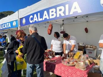Galleria foto 'A Pontida anche il gazebo calabrese' - foto 1