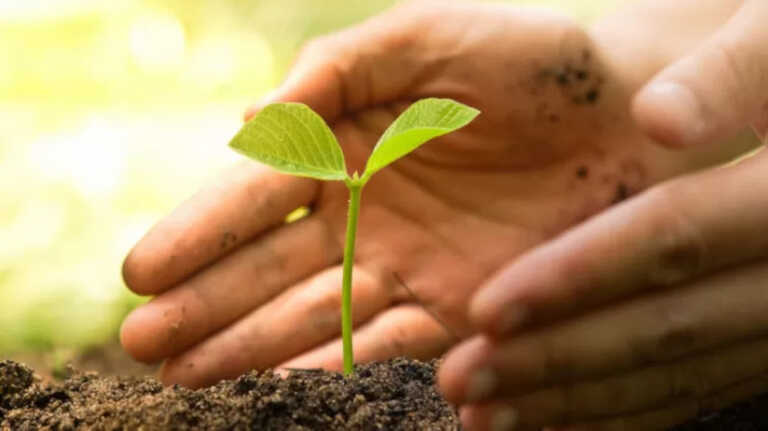 Galleria foto 'Agricoltura, Coldiretti Puglia: «Il biologico abbatte i consumi di un terzo»' - foto 1