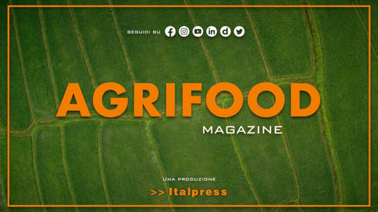 Agrifood Magazine – 14/9/2022