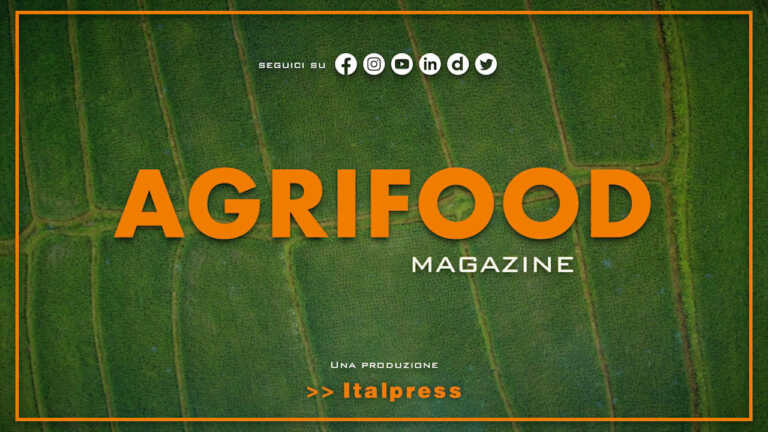 Agrifood Magazine – 7/9/2022