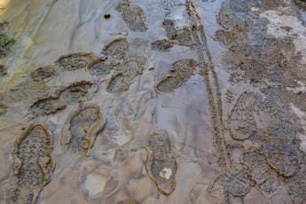 Galleria foto 'Alluvione Marche, prosegue la ricerca dei tre dispersi' - foto 1