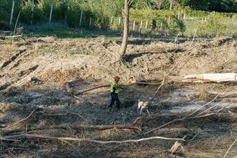 Galleria foto 'Alluvione Marche, ritrovato il corpo del bimbo disperso' - foto 1