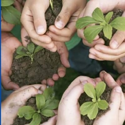 Crisi climatica, il bilancio 2024 del Wwf è negativo: «La crisi non accenna a rallentare»