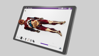Galleria foto 'Anatomia reale in realtà virtuale con Anatomage VR' - foto 1