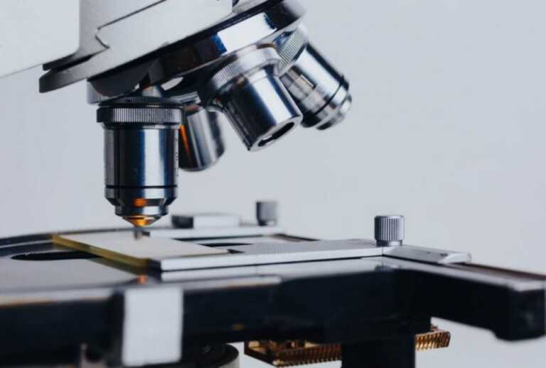 Per la prima volta in Puglia il Forum internazionale su biotecnologie industriali e bioeconomia