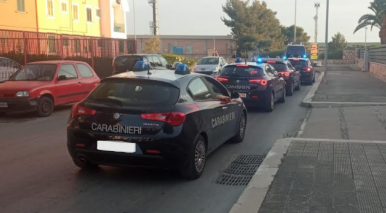 Scoperta una piantagione di cannabis sull’argine dell’Ofanto: due arresti